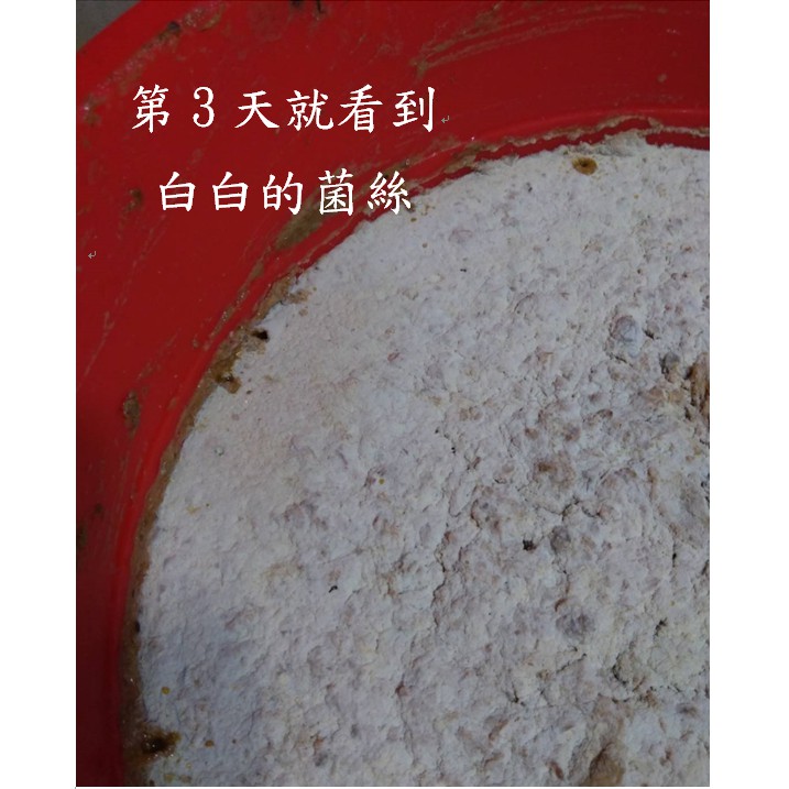超級堆肥菌 Em菌diy液肥廚餘堆肥菌種 乳酸菌 光合菌 納豆菌 酵母菌 放線菌 黑黴菌綜合微生物菌 蝦皮購物