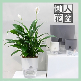 🌻多樂🌻【熱銷 臺灣快速出貨】居家園藝懶人花盆 棉繩自動吸水免澆水花盆創意簡約透明磨砂塑膠盆花器 辦公室室內植物盆栽淨化