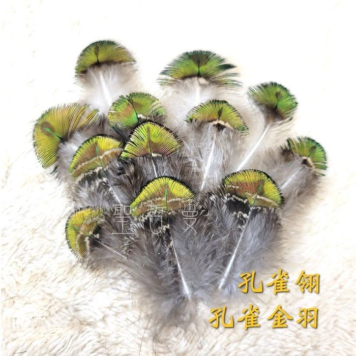 孔雀翎 孔雀金羽 孔雀藍羽毛 孔雀花羽自然脫落孔雀羽毛孔雀羽毛儀式羽毛風元素 逗貓道具 逗貓棒材料 聖哲曼 蝦皮購物
