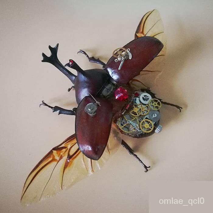 カブトムシ、花、小動物用の温室 最終値下げ中