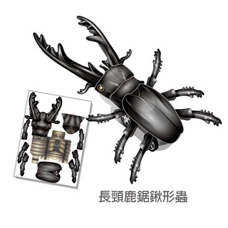 Oo屋 獨角仙長戟鍬形蟲南洋大兜蟲4款 益智組合diy 禮贈品手做玩具甲蟲 蝦皮購物