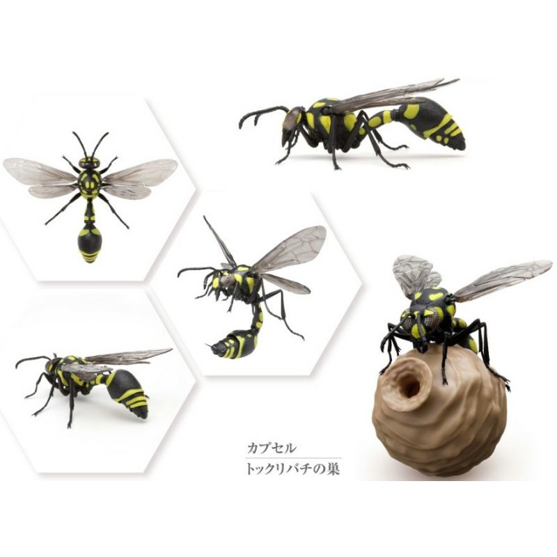 《保證全蝦皮最便宜》BANDAI 萬代 胡蜂 蜜蜂 蜾蠃 德利蜂 昆蟲 單售 全套 環保扭蛋 扭蛋 轉蛋