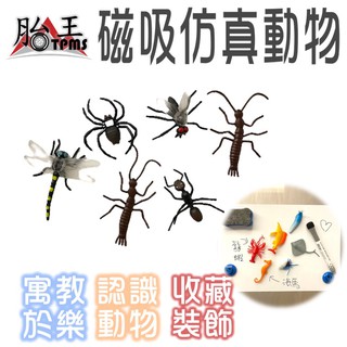 磁吸模擬動物 冰箱貼白板貼 [胎王] 昆蟲模型 冰箱磁鐵 模擬磁鐵 造型磁鐵 裝飾收藏 認知早教