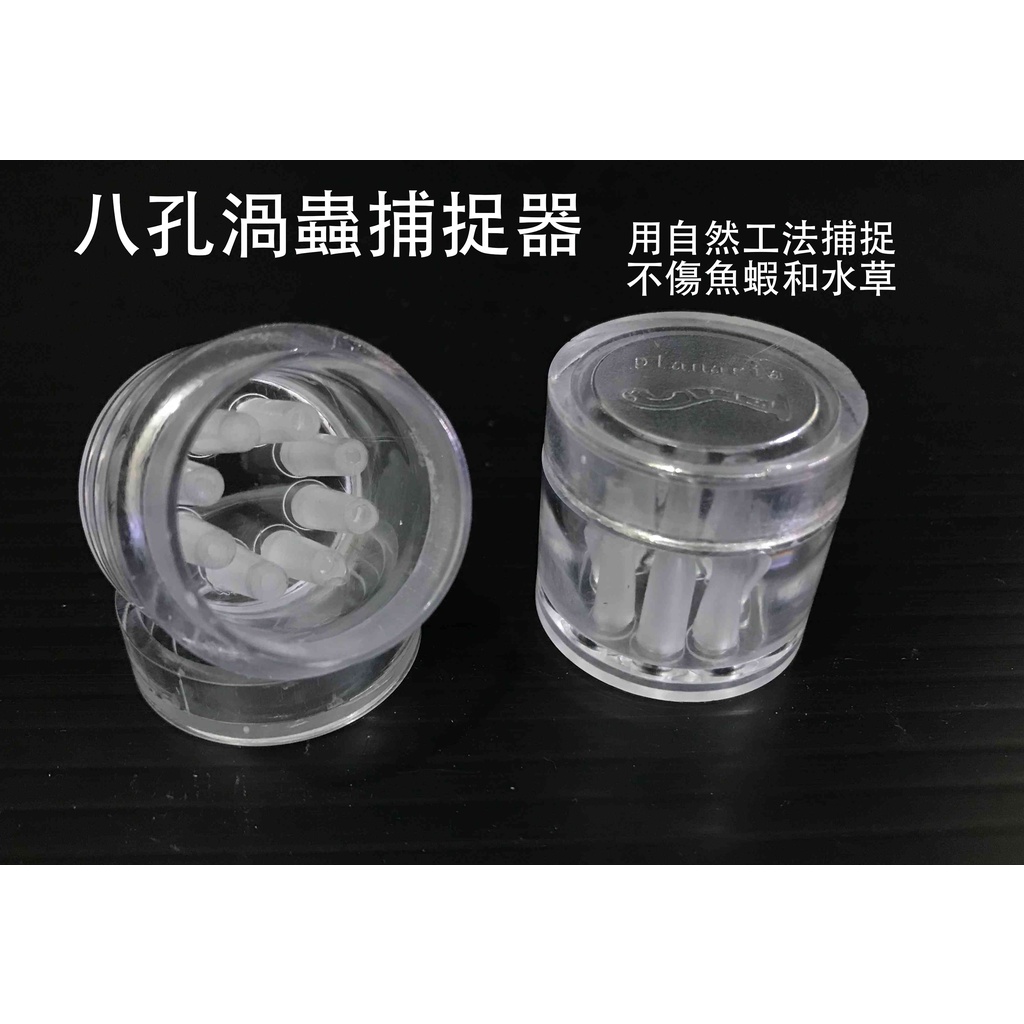 渦蟲捕捉器 水螅 水蛭 白線蟲 壓克力捕捉器 八孔 自然工法 水族賣客 蝦皮購物
