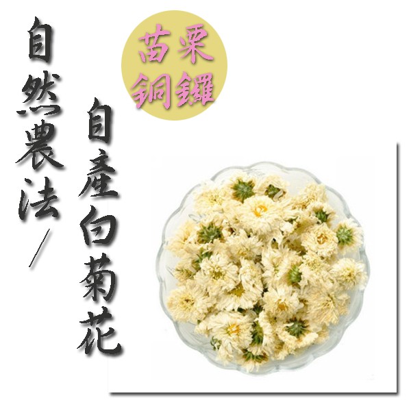 自然農法 銅鑼直送 自產白菊花產地 乾燥菊花 花草茶/菊花茶 杭菊 貢菊 一斤裝