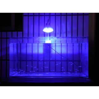 【光能LED水族燈坊】大功率LED聚光90度5X3W藍白光包膠軟管水族海水珊瑚缸夾燈