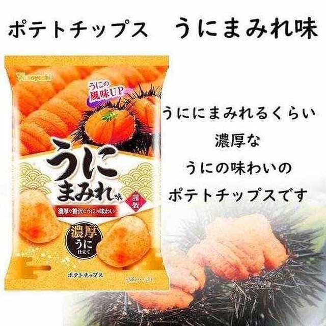 日本零食代購海膽洋芋片48g