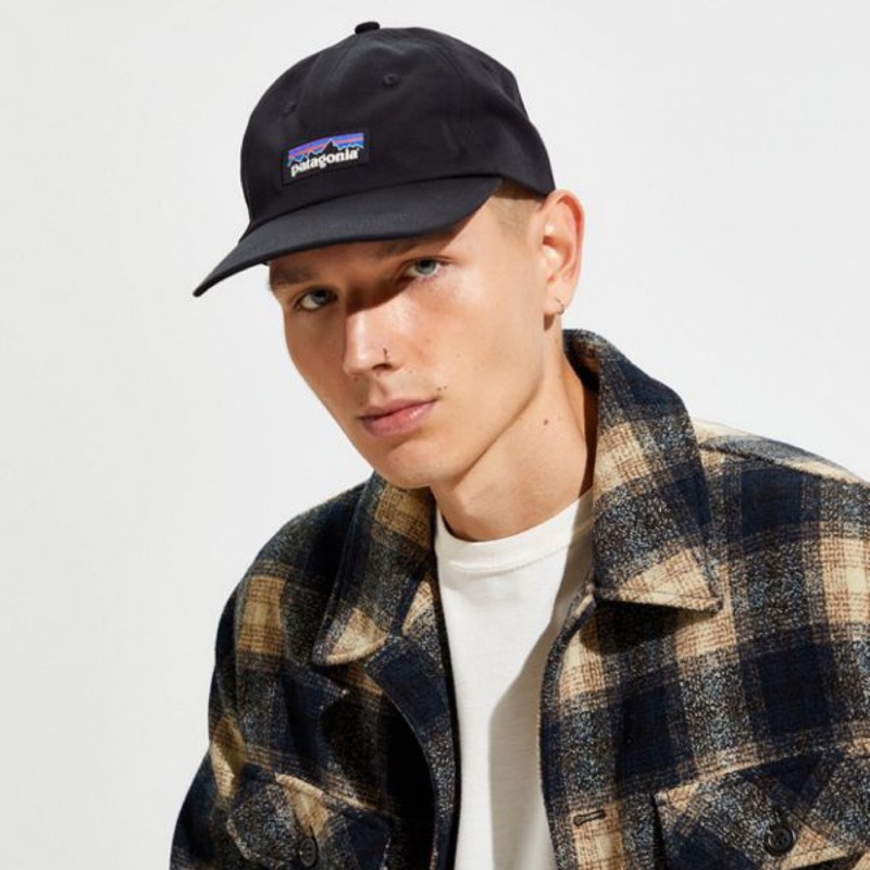 patagonia logo baseball hat