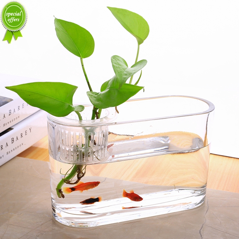 桌面透明玻璃花瓶水培長方形水養植物容器創意魚缸造景花瓶現貨 蝦皮購物