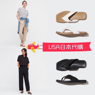 LISA日本代購 最後現貨 日本限定 UNIQLO 夾趾 涼拖鞋 拖鞋 涼鞋 夾腳拖