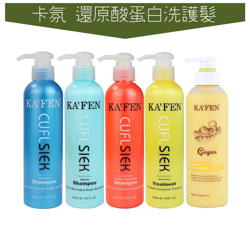 世界GO KAFEN 還原酸蛋白系列 洗髮精 護髮素 760ml 保濕控油 鎖色燙後 深層護髮 卡氛 生薑 洗髮