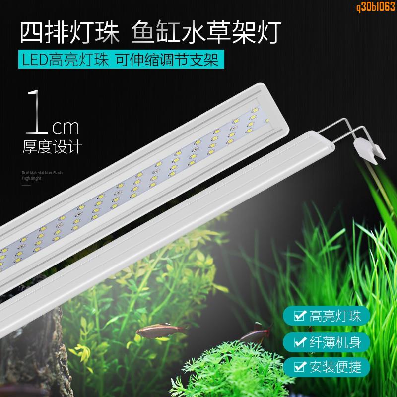 超亮led魚缸燈 Ptt Dcard討論與高評價網拍商品 21年10月 飛比價格