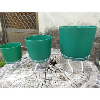 透明塑膠盆的價格推薦 21年8月 比價撿便宜