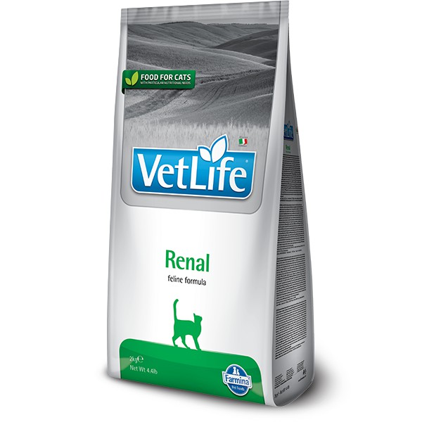 [免運] 義大利 法米納 Vet Life 貓用 貓用腎臟配方 VC-5 法米納糧 貓用腎臟配方主食罐