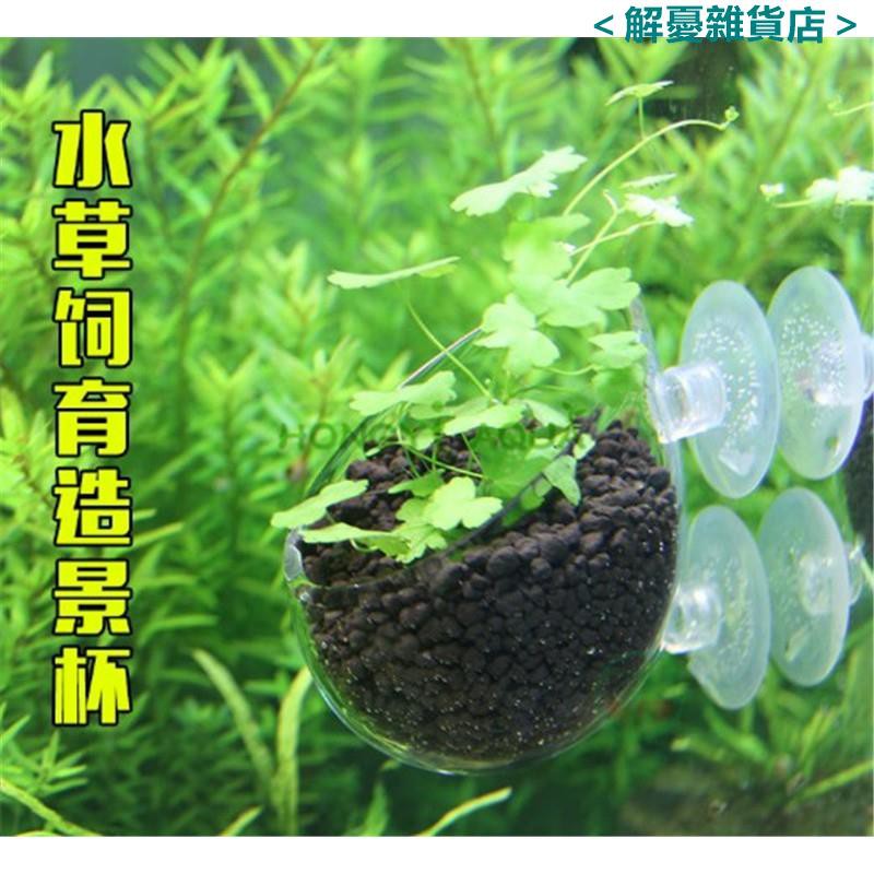 水草養育盆水草培育杯水草杯水草造景杯盆魚缸裝飾水族箱造景110 蝦皮購物