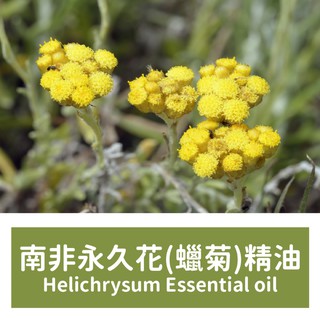 【馥靖精油】南非永久花精油(蠟菊精油)Helichrysum Essential oil