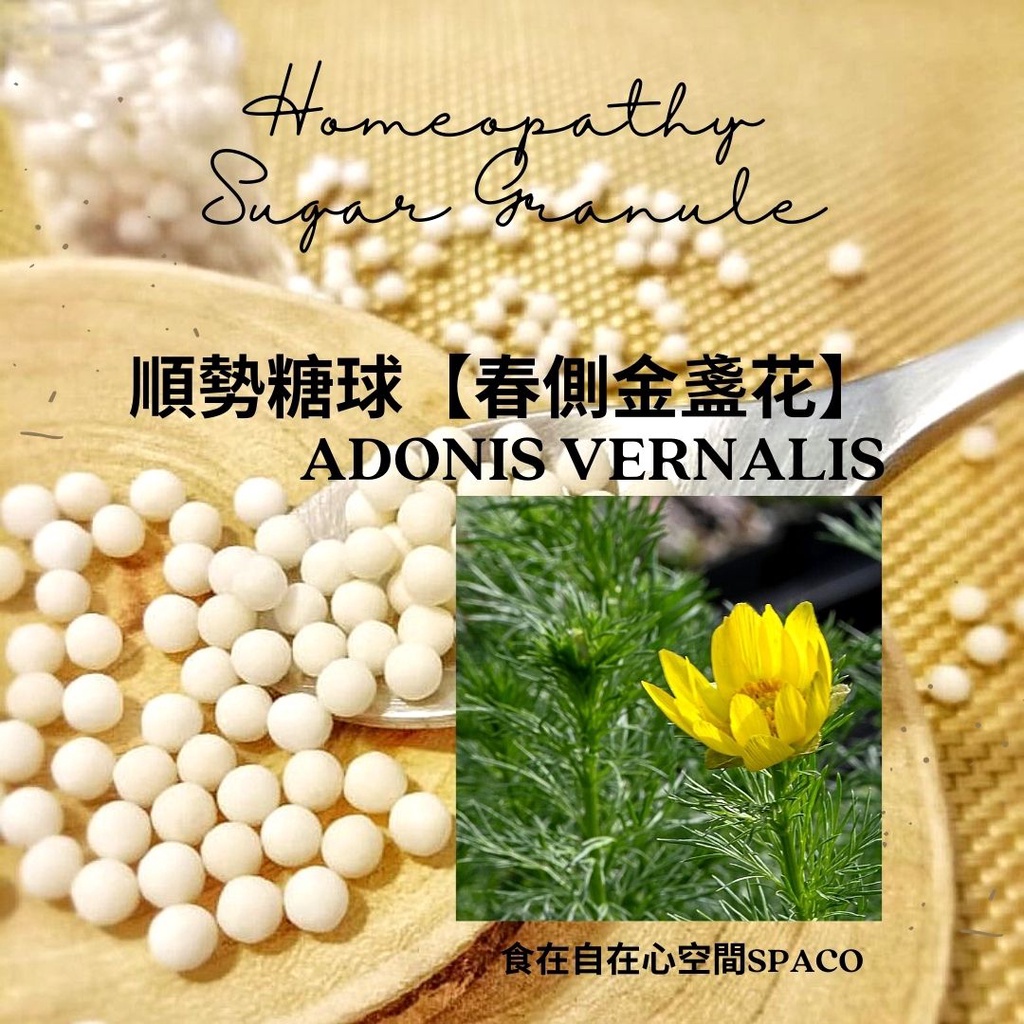 順勢糖球【春側金盞花●Adonis Vernalis】Homeopathic Granule 9克 食在自在心空間