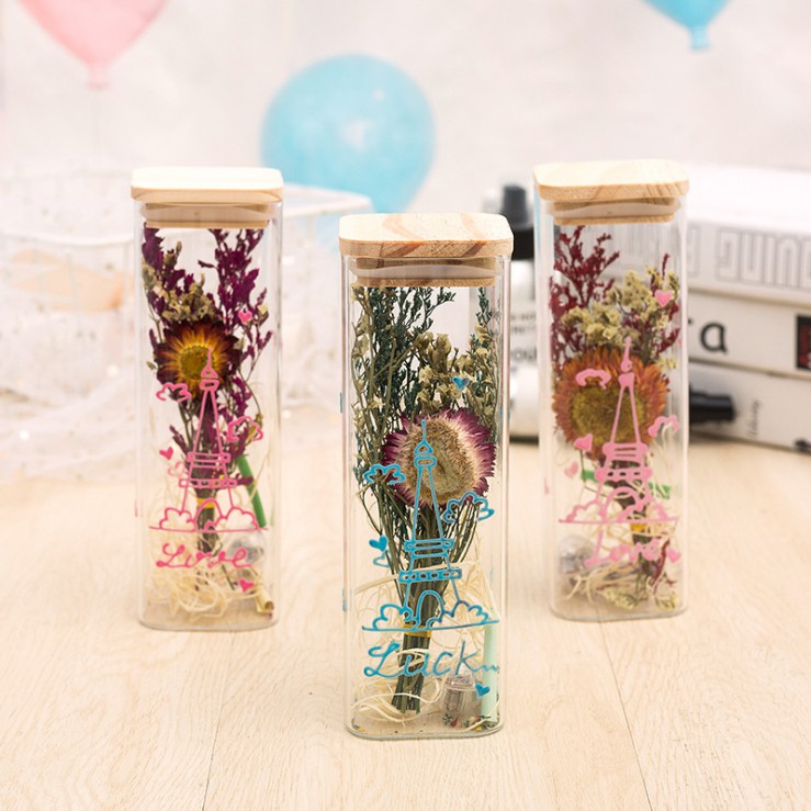 發光的干玻璃花瓶,乾菊花許願花瓶,代碼 BH02 - 獨特的禮物