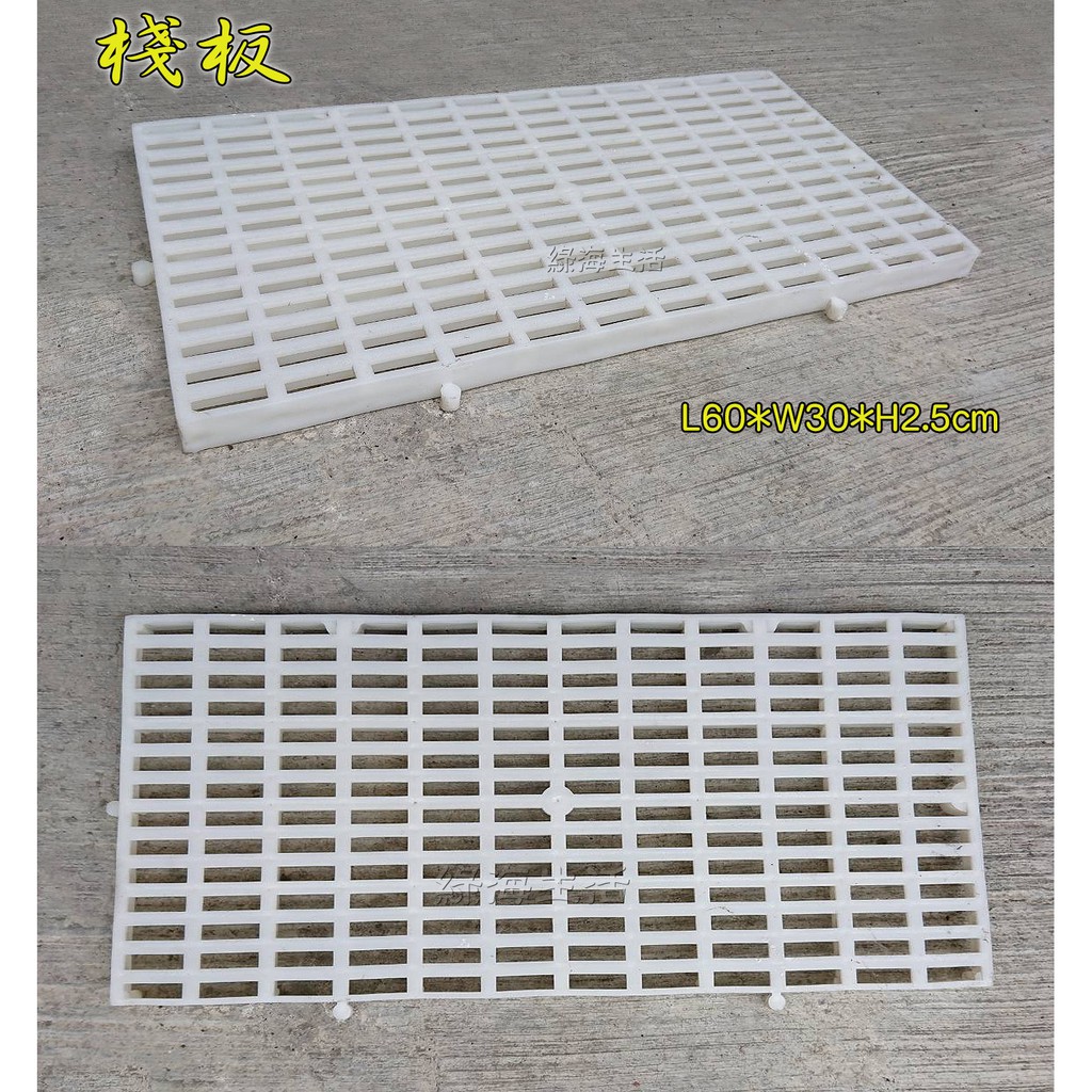 【綠海生活】 棧板 塑膠棧板 白棧板 1尺*2尺 / 1尺*3尺~ A34345