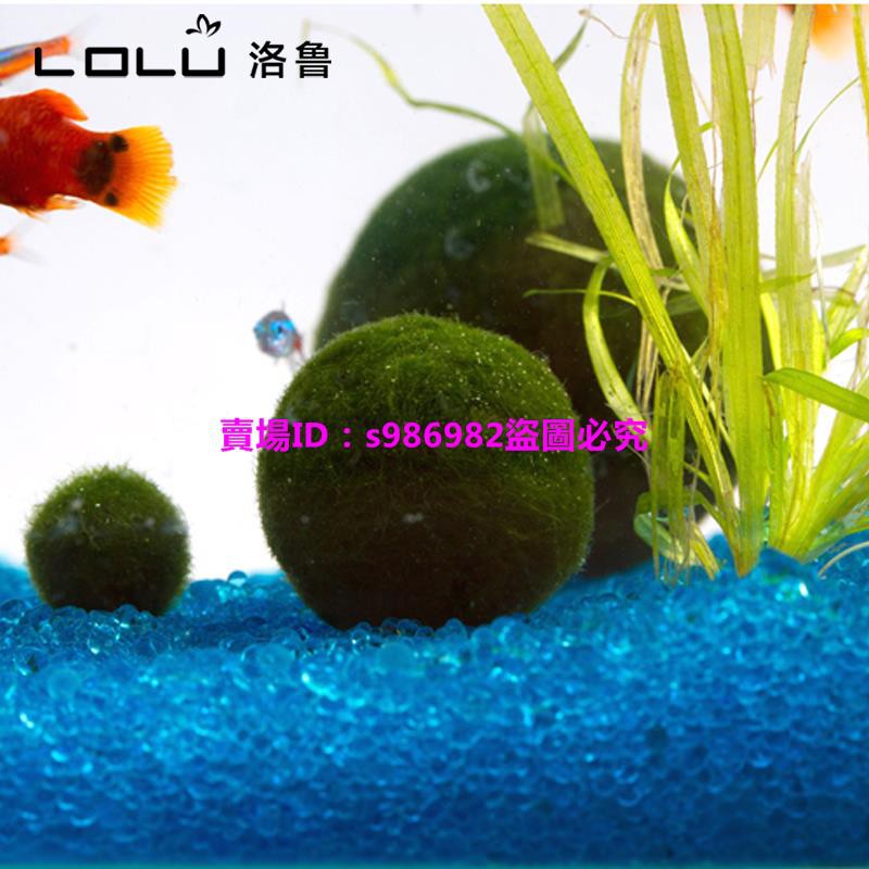 幸福海藻球毬藻marimo 微景觀魚缸花瓶水族箱裝飾造景水草萍萍 蝦皮購物