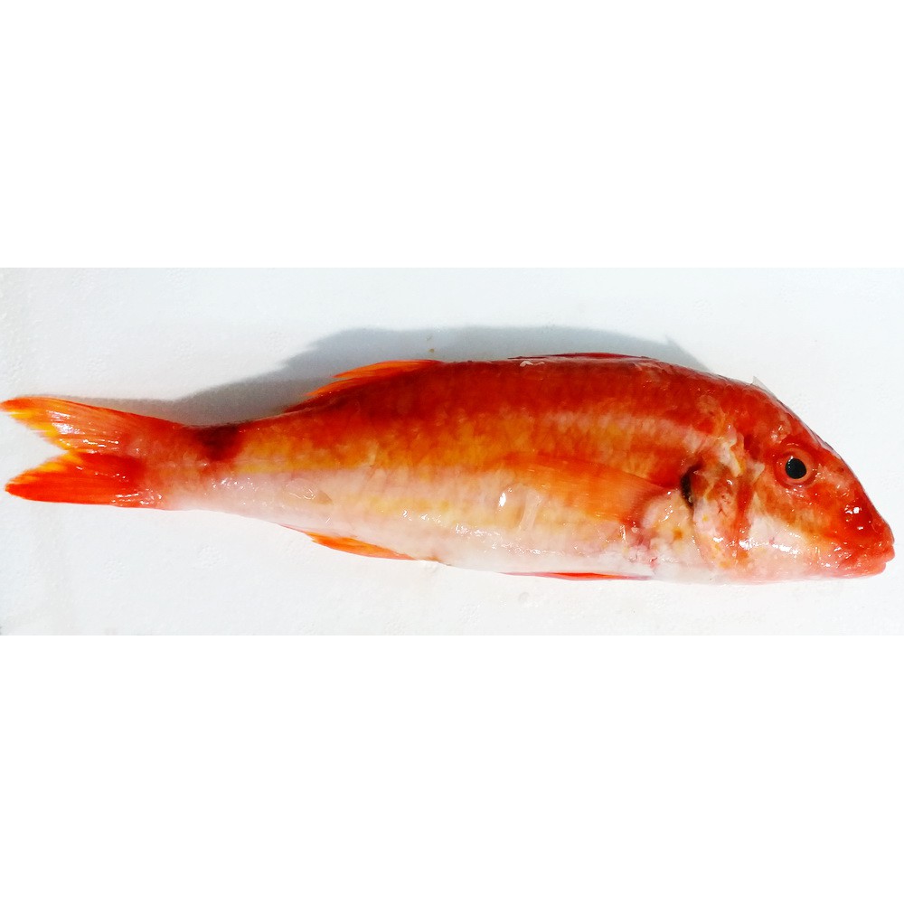 海秋姑魚 中 深海海魚 蝦皮購物