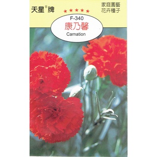 愛上種子 康乃馨【花卉種子】 天星牌 花卉小包裝種子