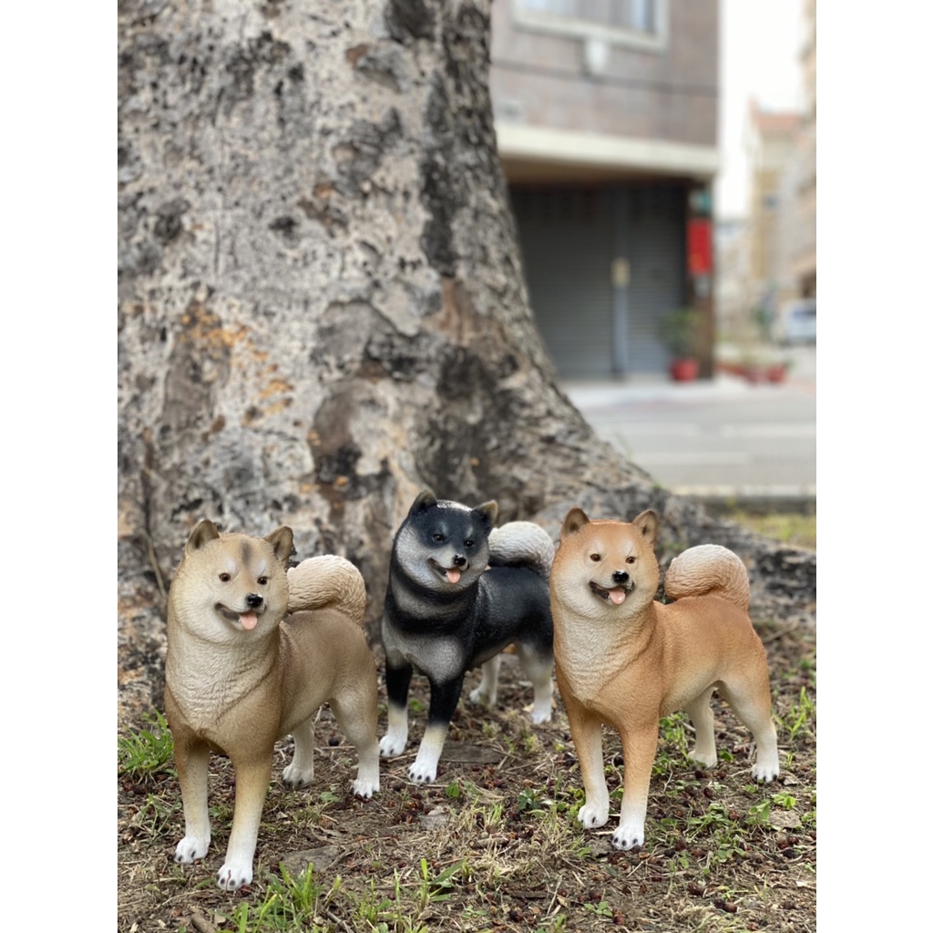 站姿小柴犬擺飾品 胡麻柴 赤柴 黑柴 狗狗擺飾迎賓居家佈置阿財 更美歐洲傢飾精品amazing House 台南 蝦皮購物