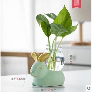 精品百貨 創意可愛動物綠蘿水培植物插花花瓶玻璃透明養花容器桌面裝飾擺件小花瓶小魚缸 蝦皮購物