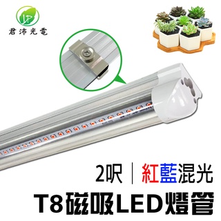 【君沛植物燈】LED植物燈 T8燈管植物燈 2呎12.5W 紅藍混光 植物生長燈(附強力磁鐵扣)