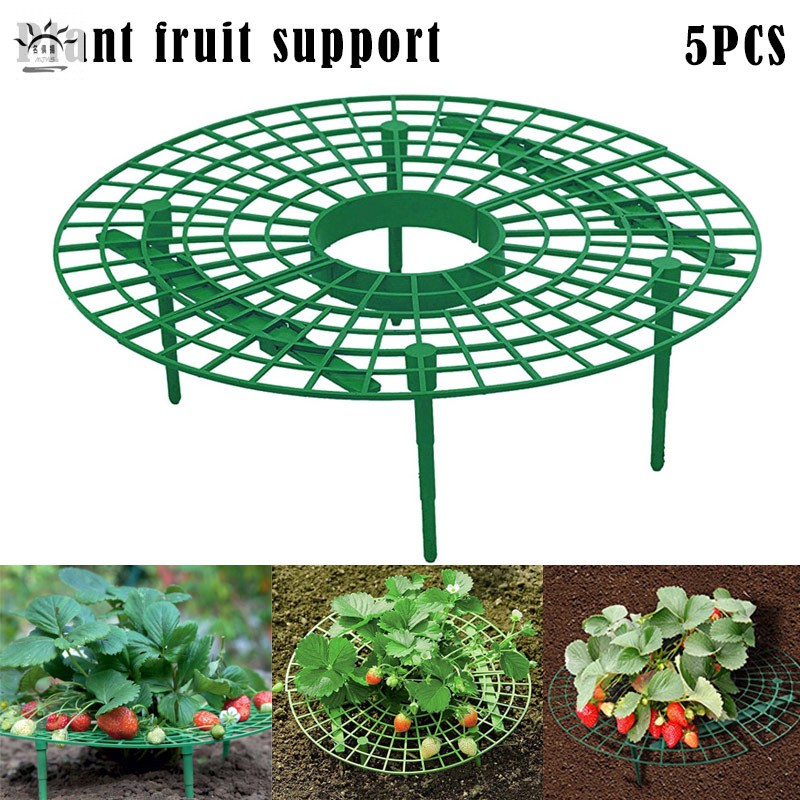 現貨 草莓架陽台種菜架果實支撐植物爬藤支柱花支柱園藝支架園藝爬藤架 名俱扬mjy5 蝦皮購物