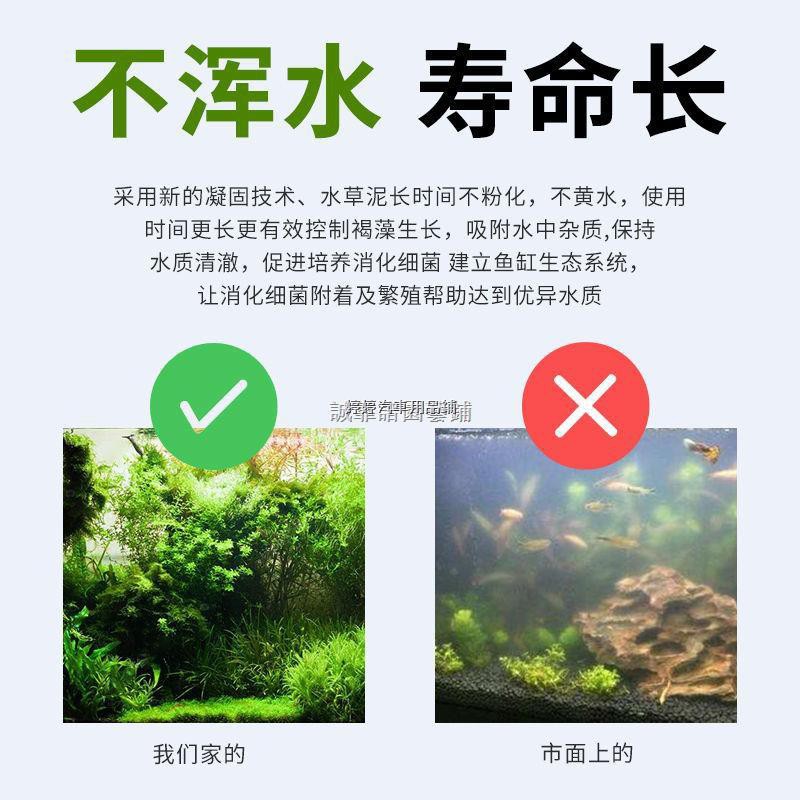 魚缸裝飾速成水草種子對葉牛毛草活體水草造景真植物造景水草種子 蝦皮購物
