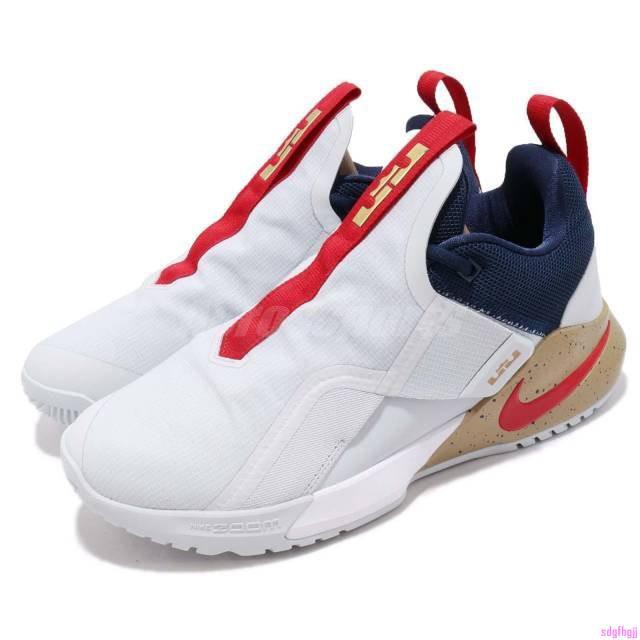 lebron ambassador x1