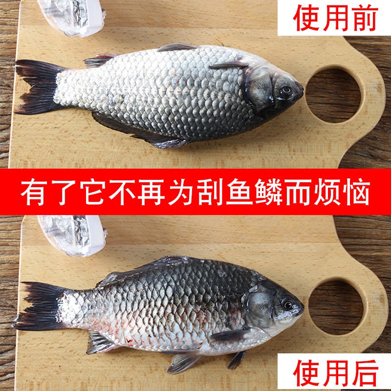 魚鱗刨刮鱗器家用去魚鱗器刮魚鱗神器魚鱗刷殺魚器去鱗器刮魚鱗器 蝦皮購物