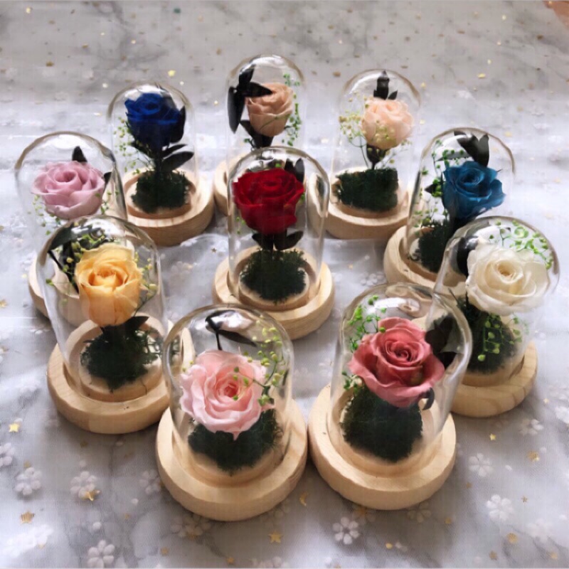 限量 迷你玫瑰花盅永生花 小王子的玫瑰美女與野獸畢業禮物辦公小物生日禮物情人節迷你玻璃罩瓶中花 蝦皮購物