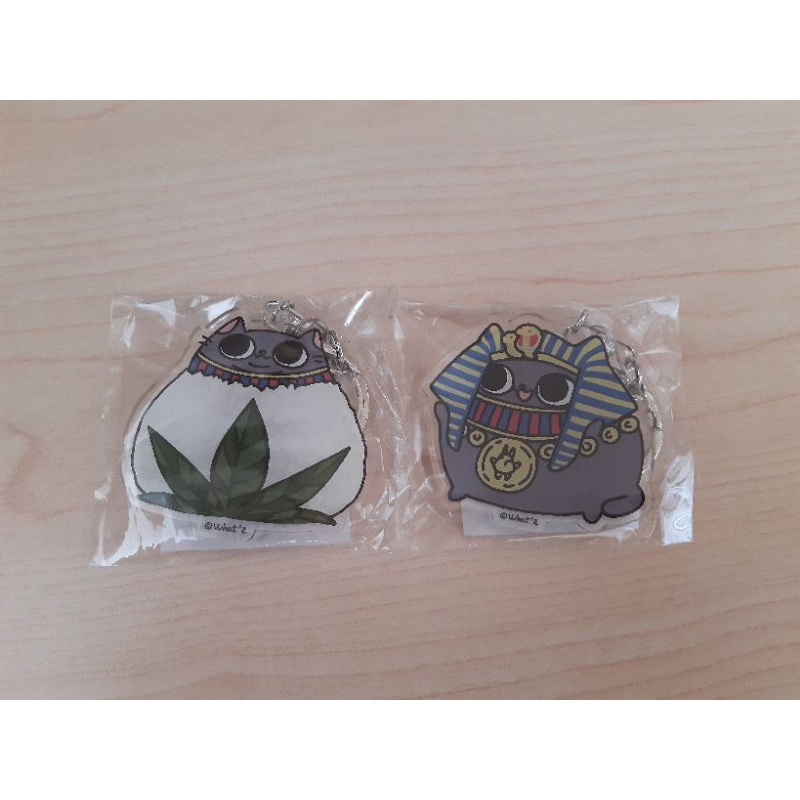 花貓大旅社 優惠推薦 21年7月 蝦皮購物台灣