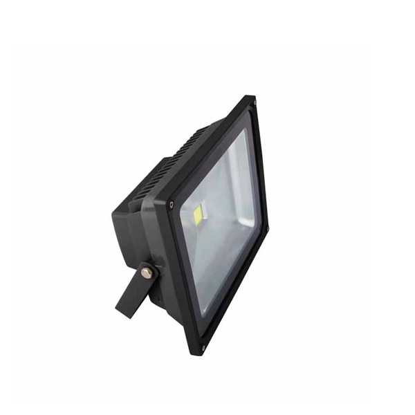 【燈王的店】LED 30W 泛光型戶外投射燈(TYL812B-30W)全電壓 白光6000K/暖白光3000K