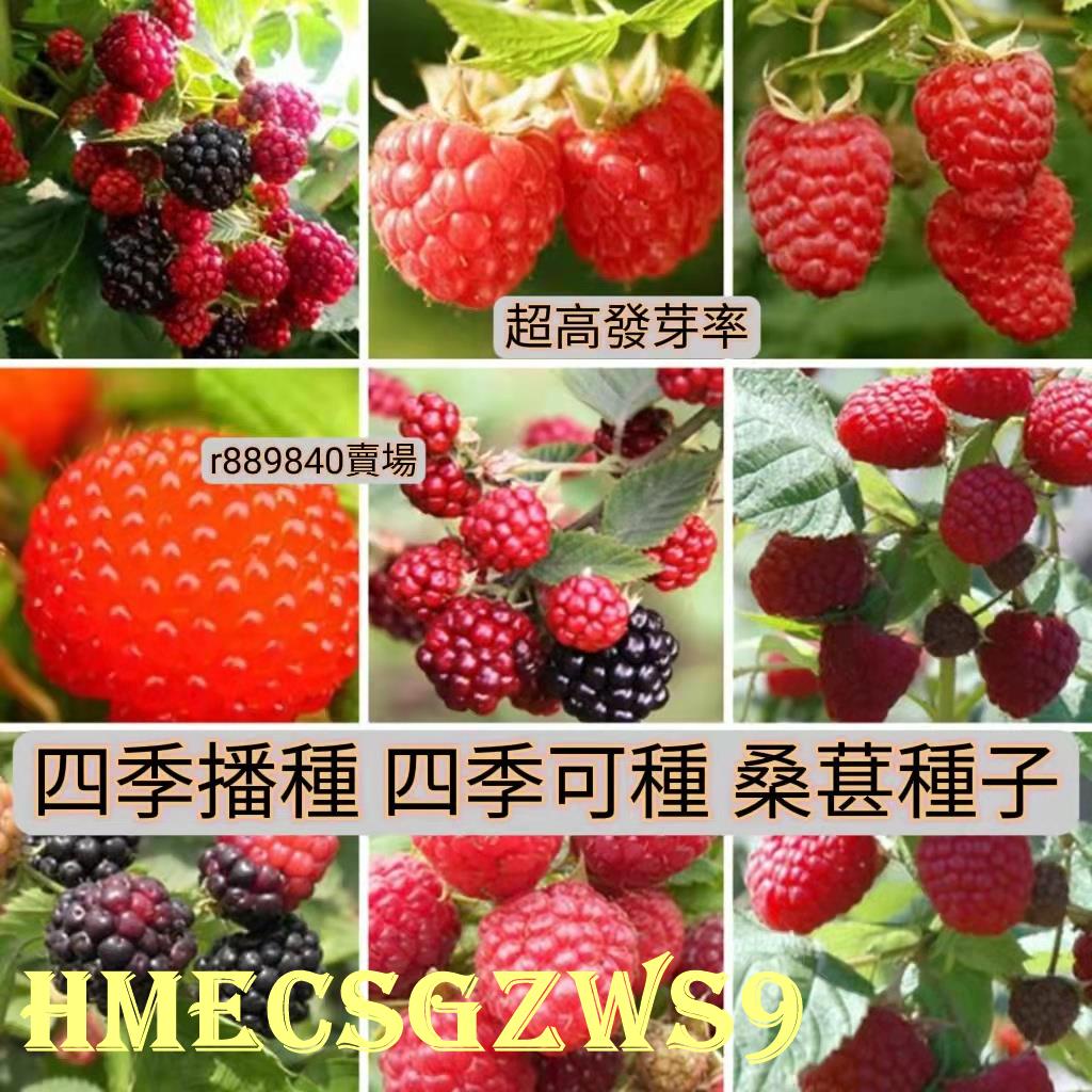 蛇莓種子的價格推薦 23年2月 比價比個夠biggo