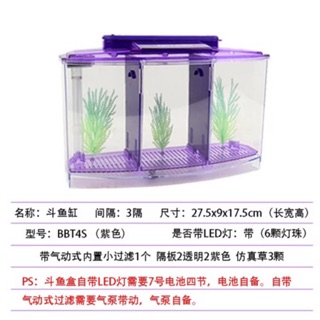 三格鬥魚魚缸 隔離缸鬥魚盒 三格孵化繁殖 壓克力迷你小魚缸水族箱