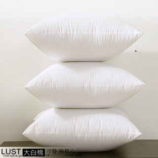 【LUST】 枕心 抱枕心 現貨 多種尺寸/沙發靠墊/臺灣製造 (超商、取貨限數量)