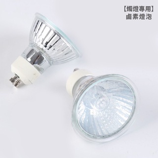 【燭燈專用】鹵素燈泡 燭燈專用燈泡 燈泡 鹵素燈 融燭燈專用 融燭燈 【LT1095】