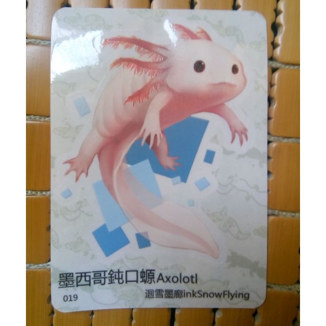 防水貼紙 019墨西哥鈍口螈 蝦皮購物