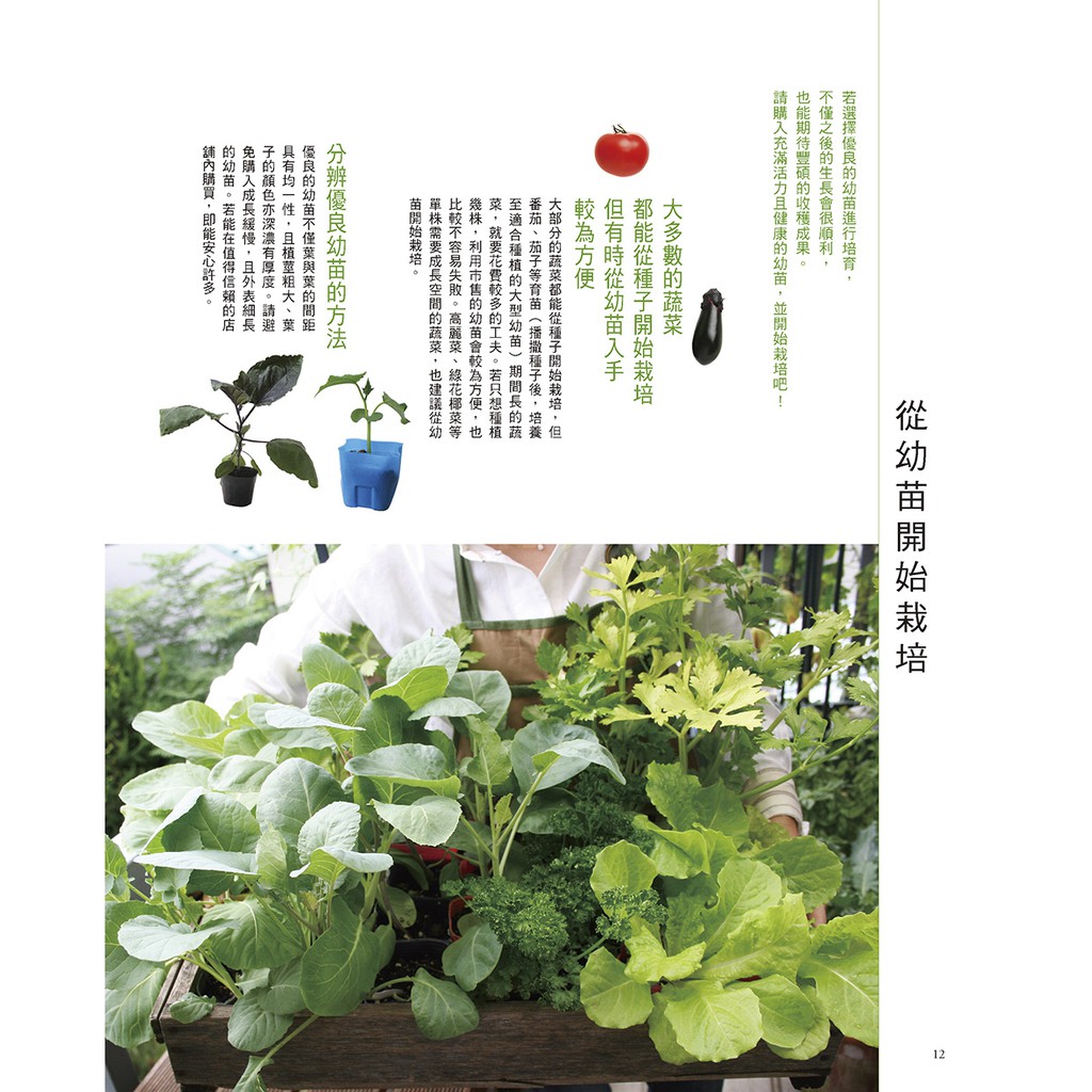 噴泉 自種 自摘 自然食在陽臺盆栽小菜園 蝦皮購物