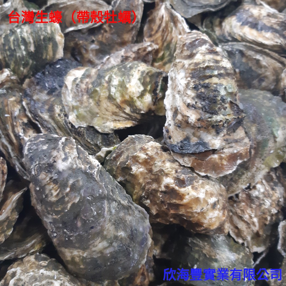 蝦皮購物 花得更少買得更好