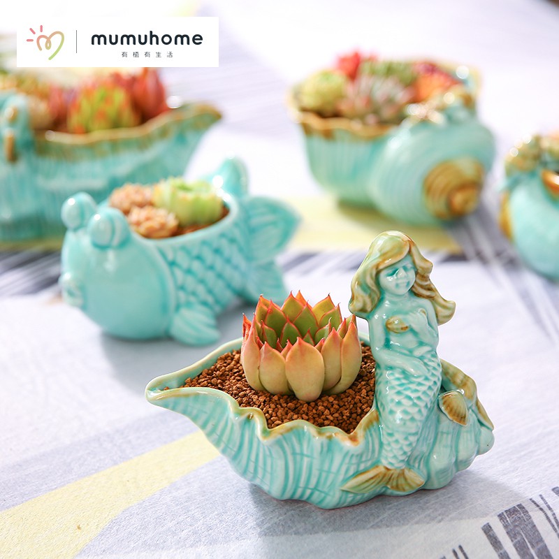 Mumuhome Mumuhome多肉植物花盆肉肉植物創意人魚系列陶瓷花盆多肉盆器套餐 蝦皮購物