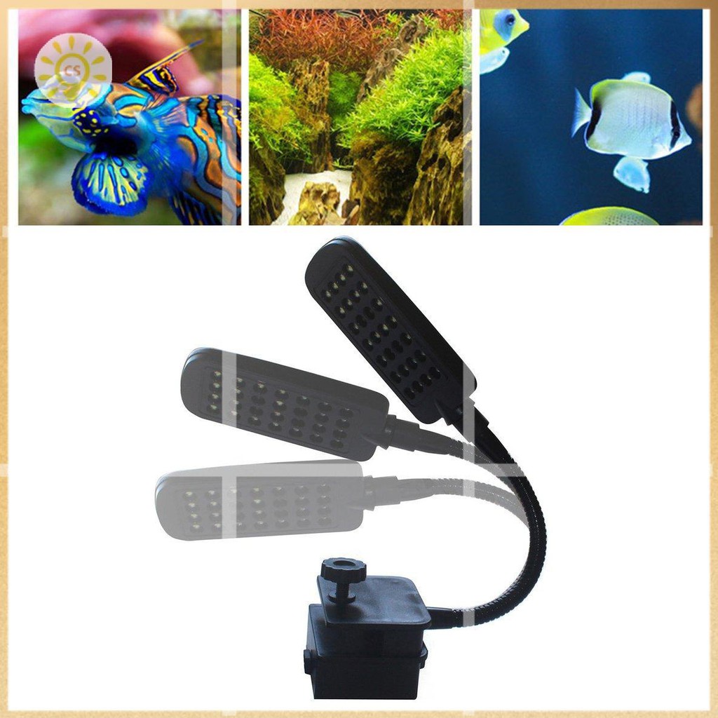 魚缸夾燈水族箱草缸海水led照明燈迷你烏龜缸燈led全光譜水草架燈clickstorevip 蝦皮購物
