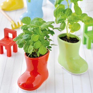 【福利品特賣會】Baby Boots 陶瓷造型植栽培盆器 / 小雨鞋 (聖新陶芸/日本正版授權/草莓/羅勒/薄荷)