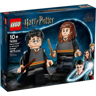 [大王機器人] 樂高 LEGO 76393 哈利波特系列 Harry Potter 哈利波特&妙麗格蘭傑