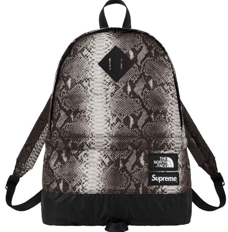 northface and supreme backpack