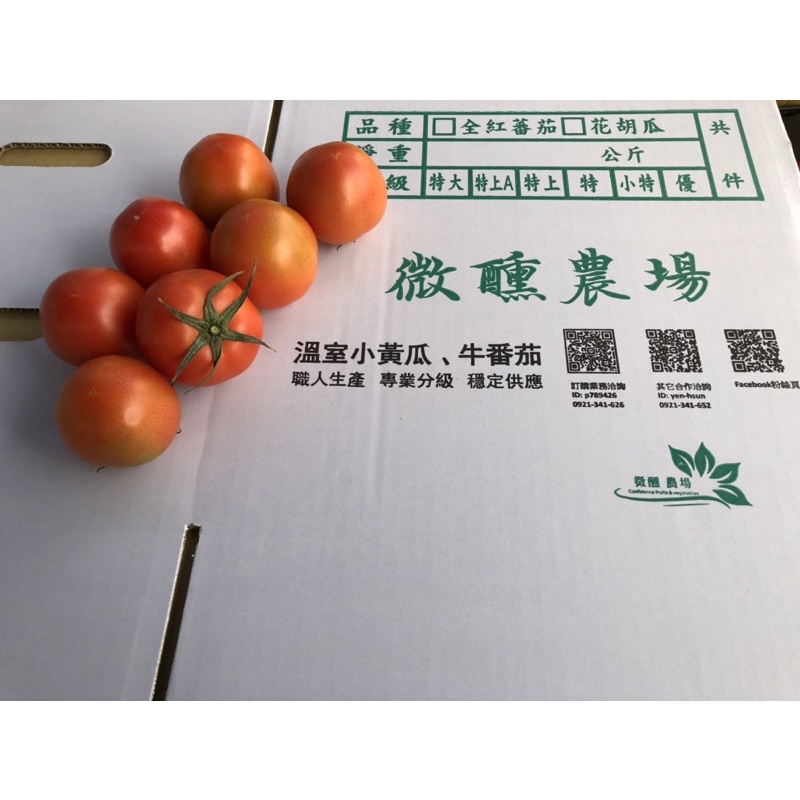 《B級》微醺農場牛番茄🍅 《一斤37起免運費》耐放較硬~平價供應-無毒栽培新鮮蔬果