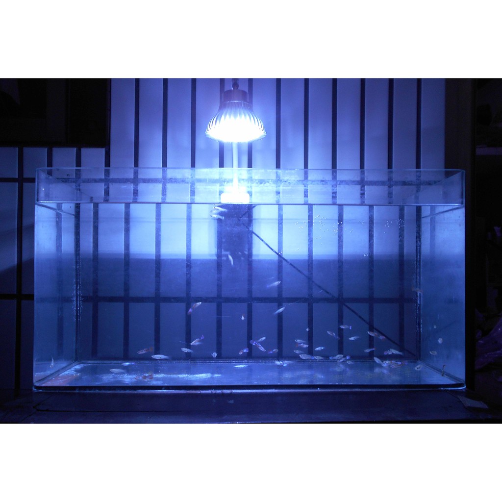 【光能LED水族燈坊】大功率LED聚光90度5X3W超冷白光20000K~25000K包膠軟管水族海水珊瑚缸夾燈